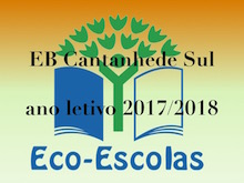 atividades eco-escolas